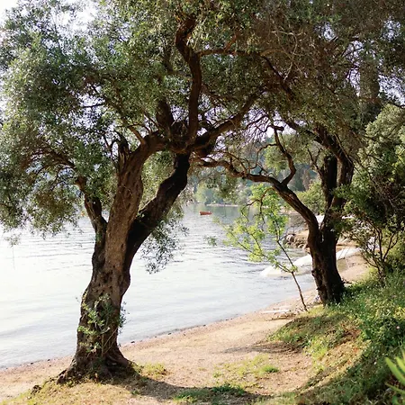 Hotell Mythos Palace (adults Only) 5*